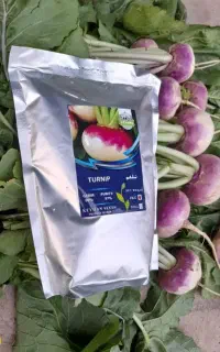 انواع بذرها شلغم پیاز باقلا