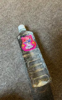 گلاب کاشان