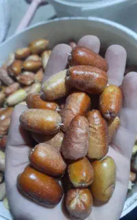 سنجد تازه