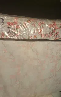 2 عدد تشک نو