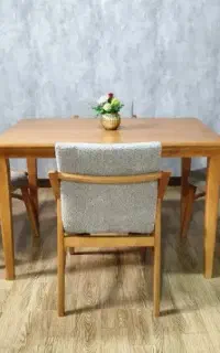 مدل ساحلی