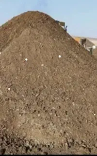 کود مرغی