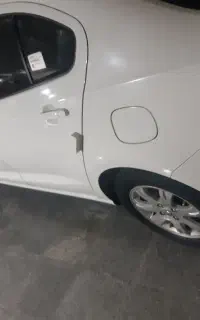 شاهین