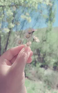 طلا رایگان واقعی