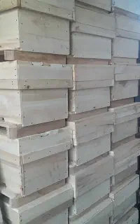 انواع کندو و کندوچه