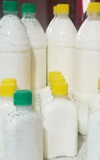 درمان قطعی شپش مو تضمینی یک دوره