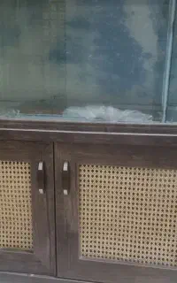 آکواریوم آب شور