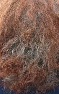 آرایش و درمان  مو