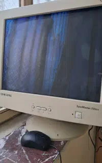 مانیتور سالم