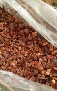 خ ر م ا فله  ب ی هسته