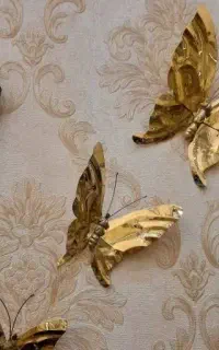 پروانه های برنز