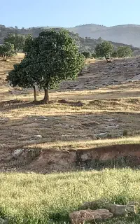 زمین مسکونی