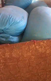 کاه گندم
