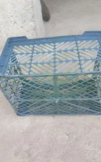 جعبه گوجه و...