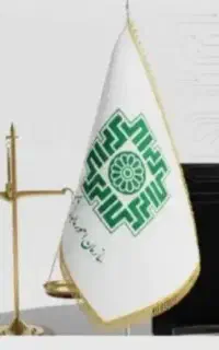 خدمات حسابداری/وکیل مالیاتی/بخشودگی جرائم سنگین
