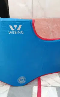 هوگو ووشو