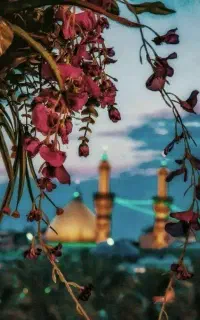 تور اقتصادی کربلا