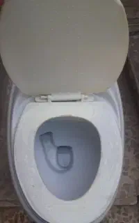توالت فرنگی