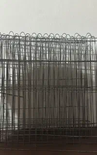 پارک یا قفس حیوانات