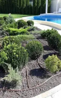 آبیاری هوشمند و اتوماتیک