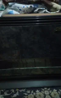 بخاری