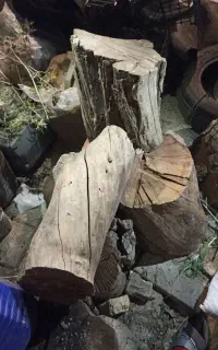چندتیکه چوب زردآلو
