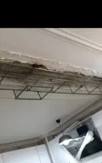 گچ کاری، لکه گیری انواع واقسام ابزار سقفی ودیواری
