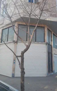 تجاری