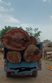 خرید چوب و ضایعات