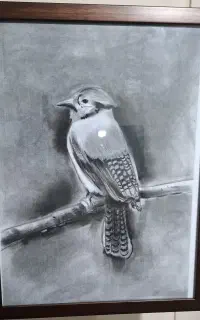 تابلو نقاشی سیاه قلم طرح پرنده
