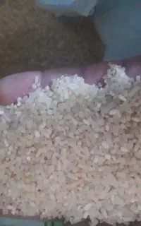 ده کیلو عدس ریز محلی برا فروش