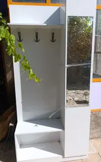 جا کفشی