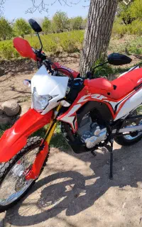 توسن باسل تریل250