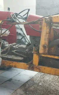 شادگان