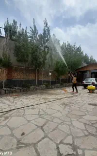باغبانی سمپاشی علف هرز  پیوند هرس کاشت چمن