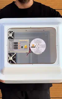 جوجه کشی ۱۰۰ تایی ( ارسال رایگان )