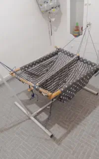 بانوج دوقلو