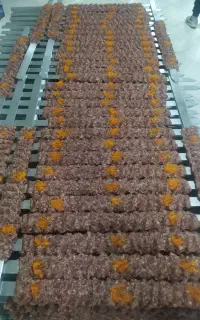 کار در تالار
