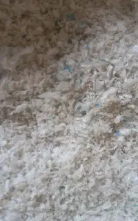 استخدام کارگر
