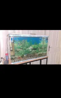 اکواریوم ۱ متری شیشه خم با تمام لوازم جانبی