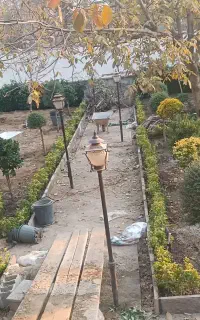 خدمات باغبانی گلکاری درختکاری هرس درختان کوددهی