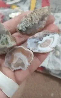 سنگ شجر وعقیق