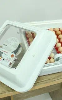 دستگاه جوجه کشی حرفه ای - دستگاه جوجه کشی خانگی