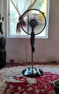 پنکه سالم