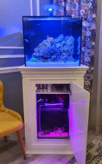 ساخت اکواریوم های اب شور و شیرین