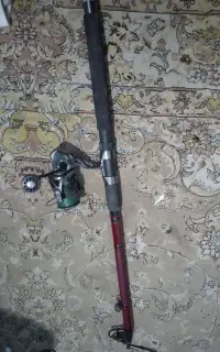 لنسر ماهیگیری نو