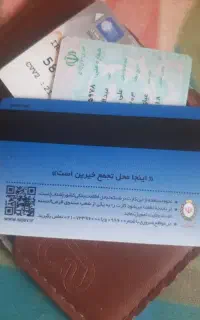 مدارک گم شده بنام علی بدیری