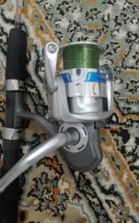لنسر ماهیگیری