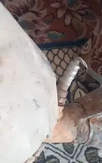 کاتالیزور نیسان دومنبع