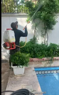 سمپاشی باغبانی سم پاش هرس کاری